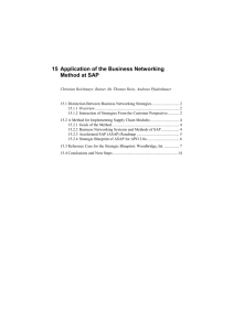 15 Application of the Business Networking Method at SAP