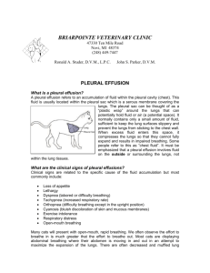 PLEURAL EFFUSION - Briarpointe Veterinary Clinic