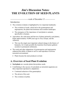 seed-plants - Hbwbiology.net