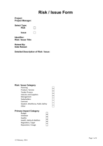 Risk/Issue Template (DOC 158KB)