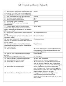 Lab 10 Meiosis FC