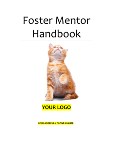 Mentor Manual (NeoNatal) 2013