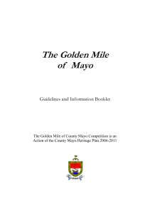 Guidelines and Information Booklet (Word-530 kb)