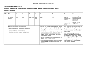 NCEA Level 1 Biology (90927) 2013 Assessment Schedule