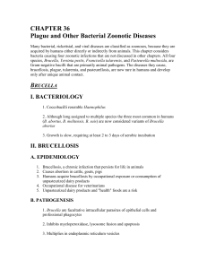 CHAPTER 36 Plague and Other Bacterial Zoonotic Diseases