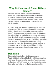 Why Be Concerned About Kidney Stones
