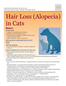 hair_loss_(alopecia)_in_cats