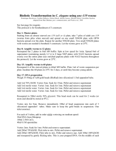 Bombardment protocol