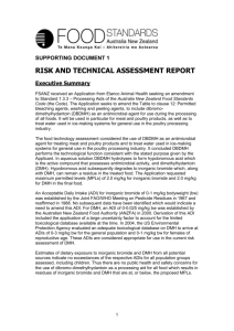risk and technical assessment report