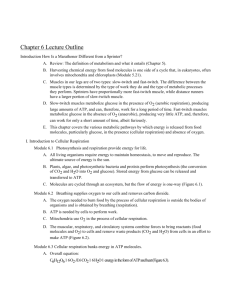 Chapter 6 Lecture Outline