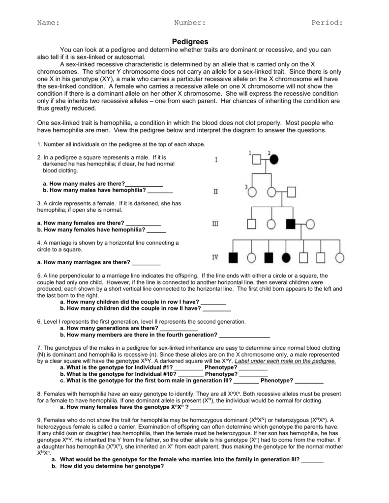 Pedigree Worksheet