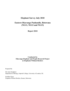 Elephant Survey Aug 08 eastern Okavango Panhandle, Botswana