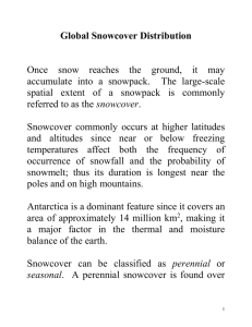 Physical Characteristics of Snow Crystals}