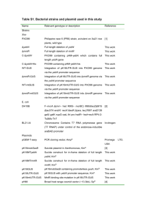 Table S1. Bacterial strains and plasmid used in this study Name