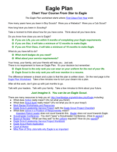 Eagle Plan Worksheet