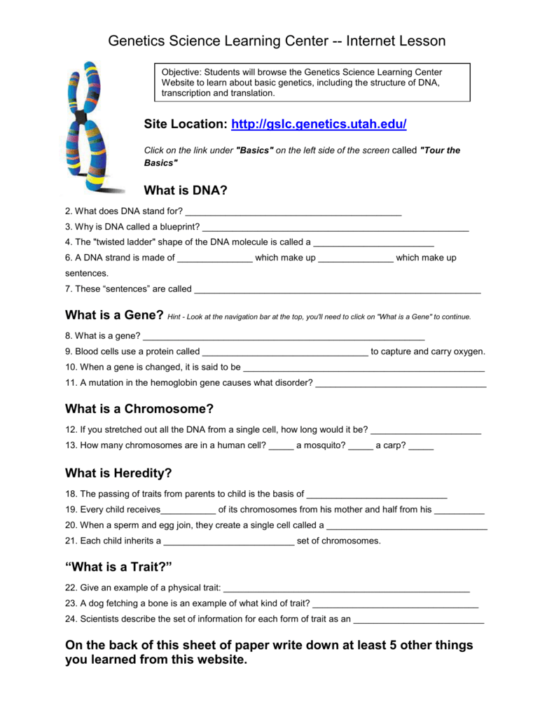 Translation Biology Worksheet