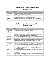 McTimoney Animal Manipulation - McTimoney College of Chiropractic