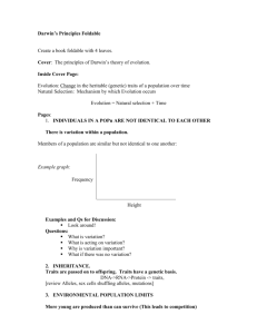 Darwins principles Foldable