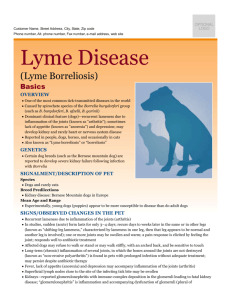 lyme_disease