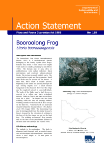 Booroolong Frog (Litoria booroolongensis) accessible