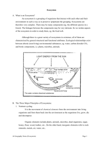 Ecosystem