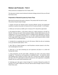 Nielsen Lab Protocols