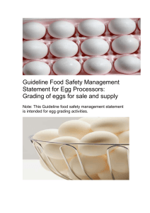 Grading of eggs for sale and supply