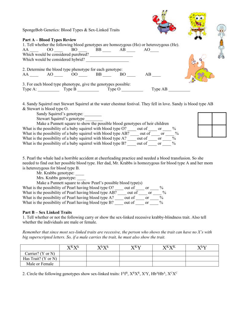 Spongebob Genetics Blood Types Sex