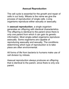 5 - Asexual Reproduction - rtenhove