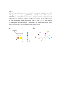 Figure S1 (a) The chloroplast haplotype network of Callitris