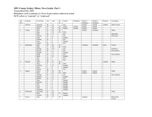 1891 Census Sydney Mines, Nova Scotia