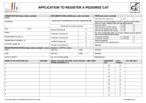 Pedigree Cat Registration Form