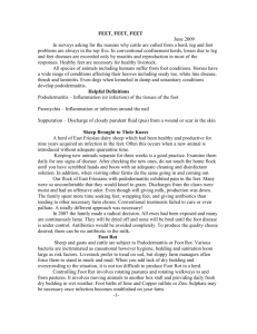 June 2009 - Clark Veterinary Clinic