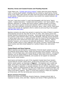 Coastal Sand Dune System: Beach and Dune Erosion and Coastal