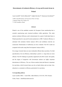 Technical efficiency of Polish farms