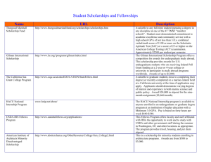 Minority Fellowships, Scholarships & Internships Word Document