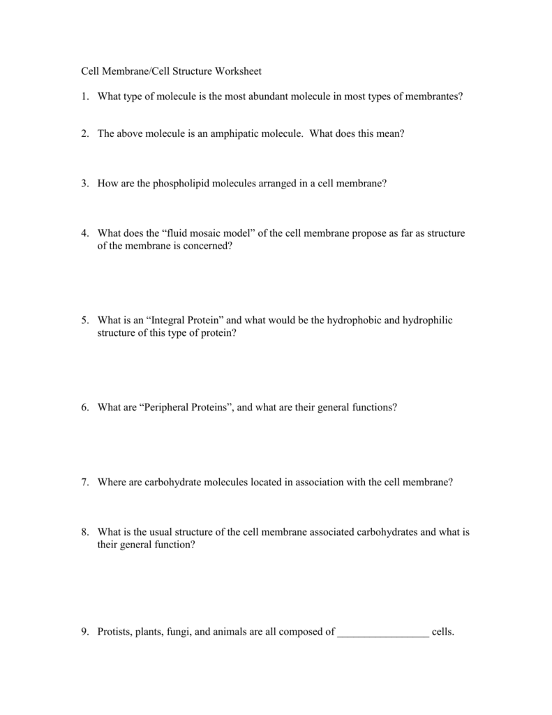 Cell Membrane/Cell Structure Worksheet