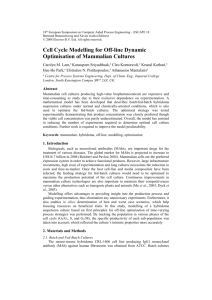 Cell Cycle Modelling for Off-Line Dynamic Optimisation of
