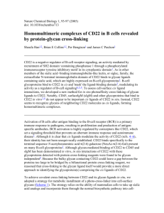 Homomultimeric complexes of CD22 in B cells revealed by