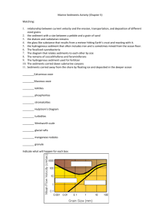 Marine Sediments Worksheet
