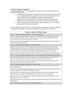 Section B: Proposed Approach - Mental Health America of Wisconsin