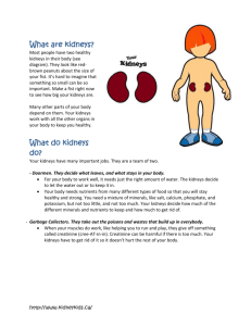 Kidney Kids (www.kidneykids.ca)