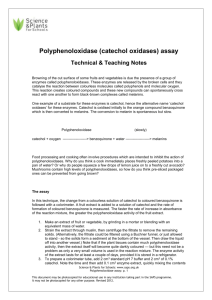 (catechol oxidases) assay - Science and Plants for Schools