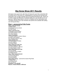 Big Horse Show Results - The Pony Club Branches