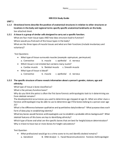 mcgraw hill virtual frog dissection worksheet answer key