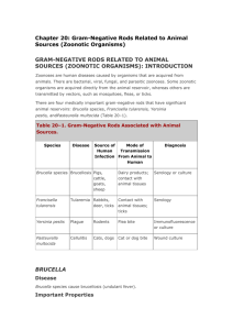 20. Gram-Negative Rods Related to Animal Sources (Zoonotic