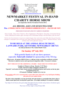 newmarket festival in-hand charity horse show