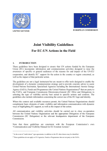Joint UN-EC Visibility Guidelines