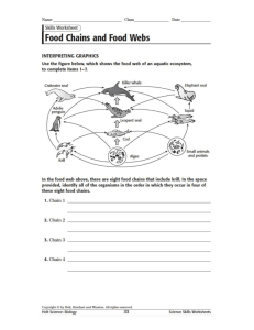 Food Webs and Food Chains Worksheet