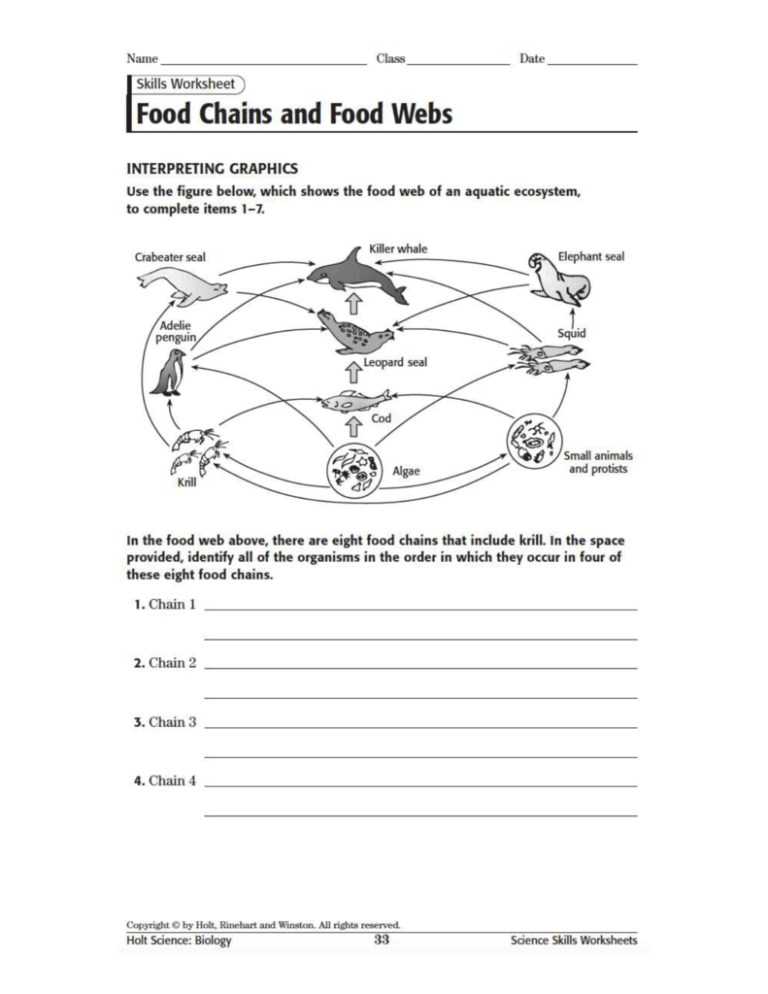 food chain and food web assignment